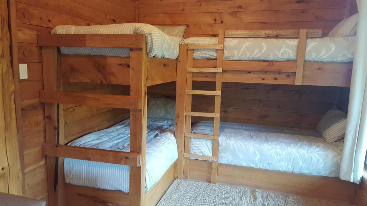 Rustic Hut Bush Retreat Bed & Breakfast Penguin Room photo